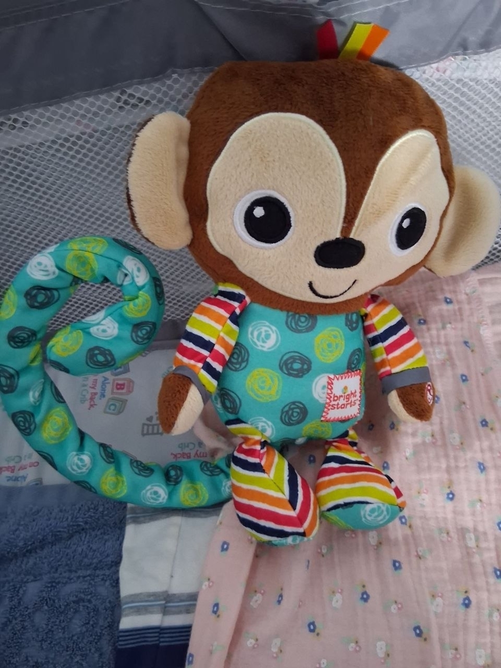 Plush Monkey Activity Toy - Teal & Brown